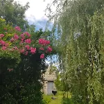 Les Pieds Dans L'eau * Baugé
