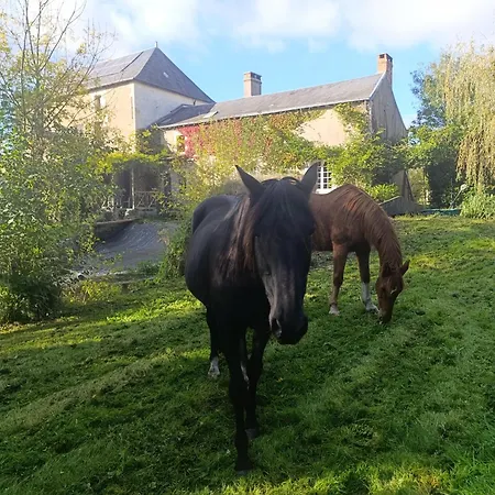 Les Pieds Dans L'eau Holiday home