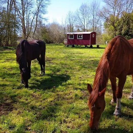 Les Pieds Dans L'eau *