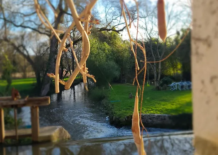 Les Pieds Dans L'eau *