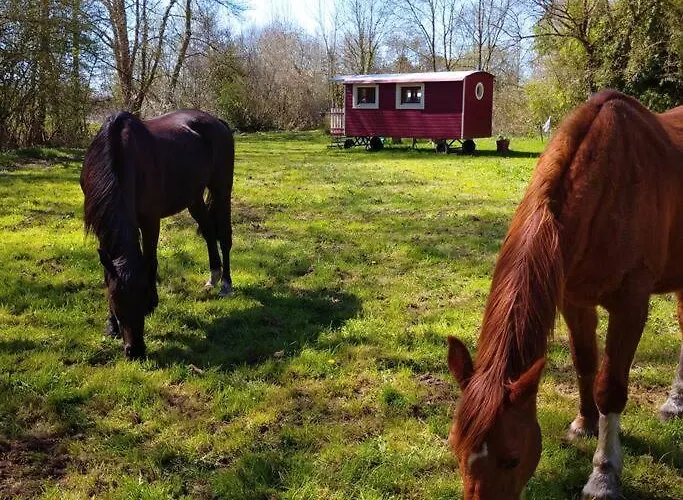Les Pieds Dans L'eau *